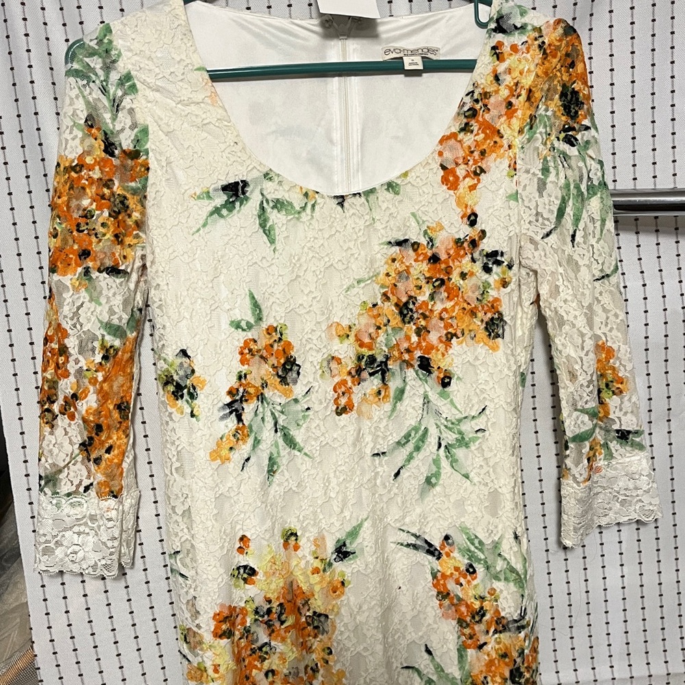 Eva Mendes Lined Floral Lace Dress sz S